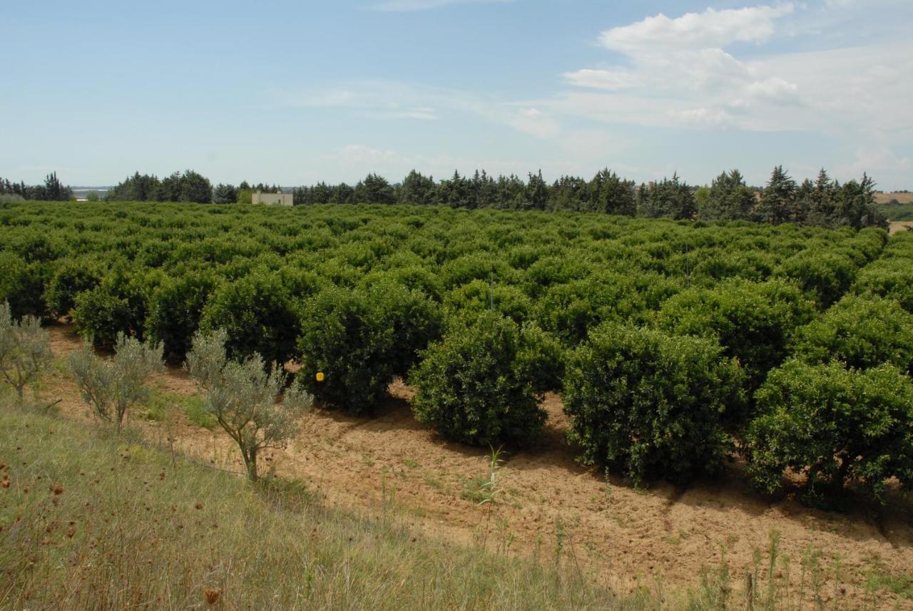 Borgo Valle Rita 타란토 외부 사진